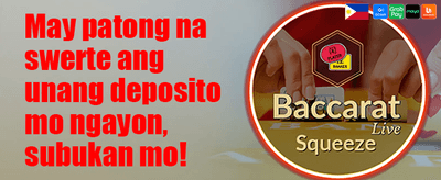 VIP Rebate Program